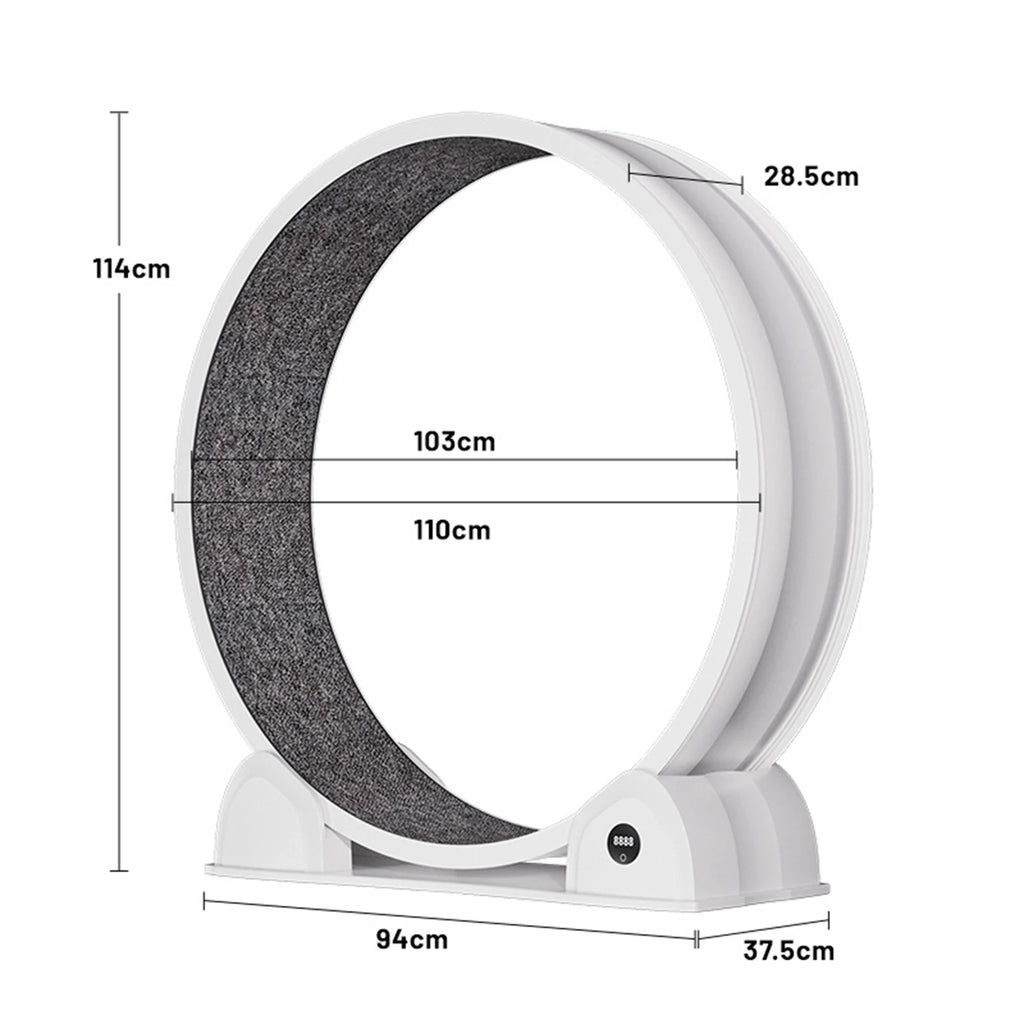 Exercise Wheel for Cats