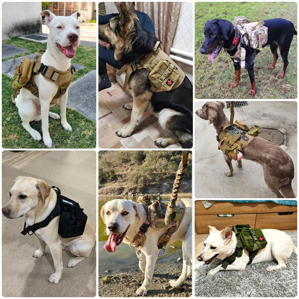 Tactical No Pull Dog Harness Leash Set for Large Dogs