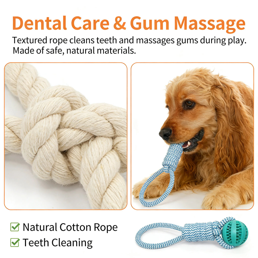 2-in-1 Dog Chew Toy with Treat Dispenser Ball, Durable Cotton Rope