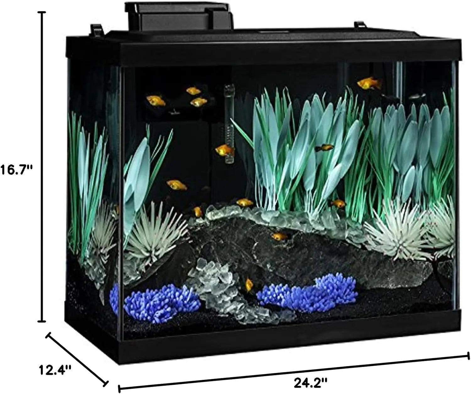 20 Gallon Aquarium Kit