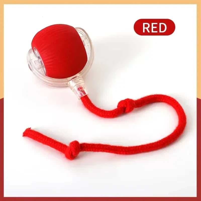 Smart Automatic Rolling Pet Ball for Dogs and Cats with Rope
