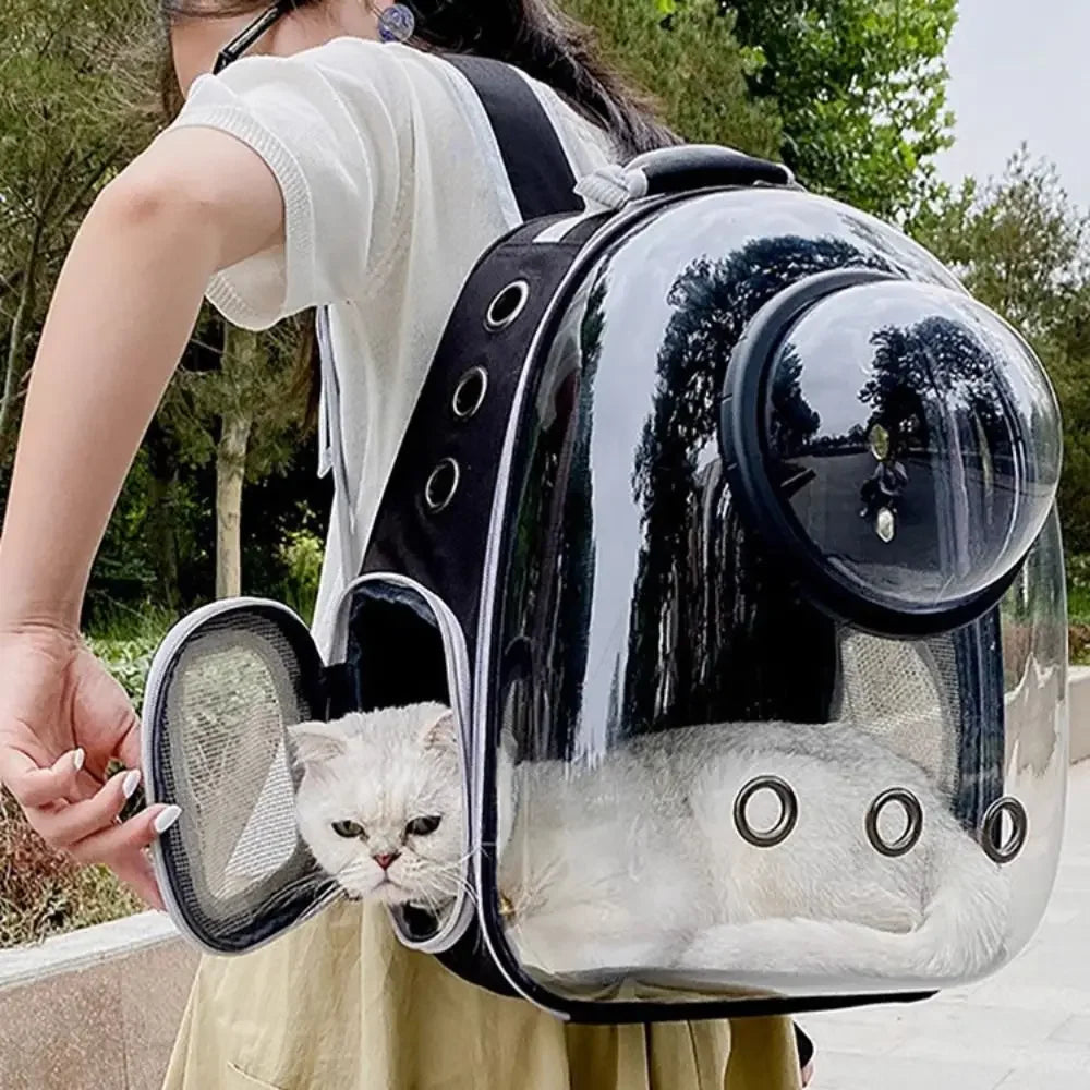 Portable Transparent Pet Cat Carrier