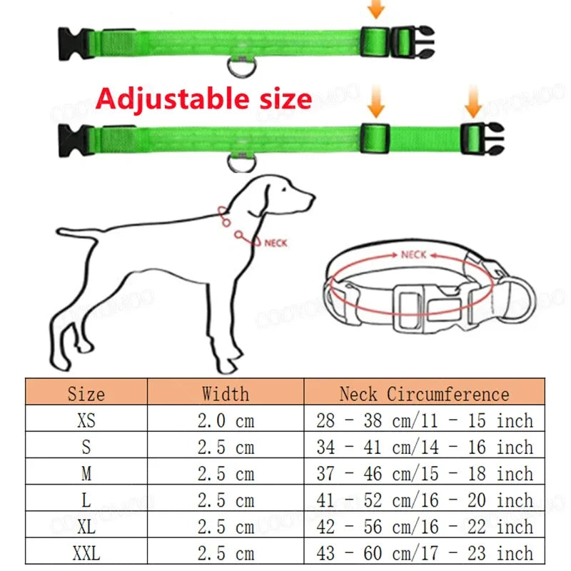 3 Mode LED Light Up Collar