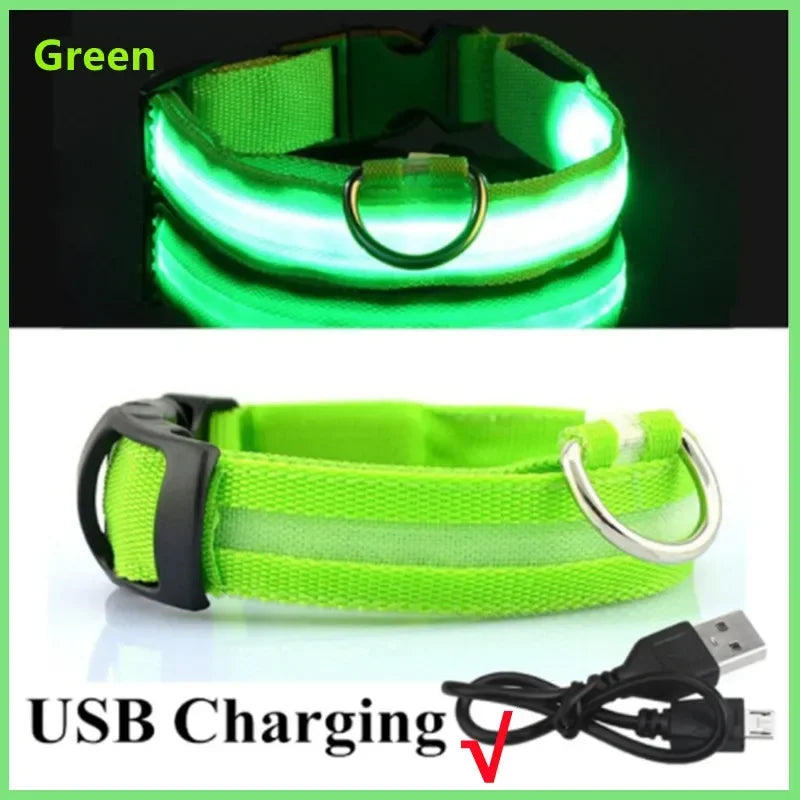 3 Mode LED Light Up Collar
