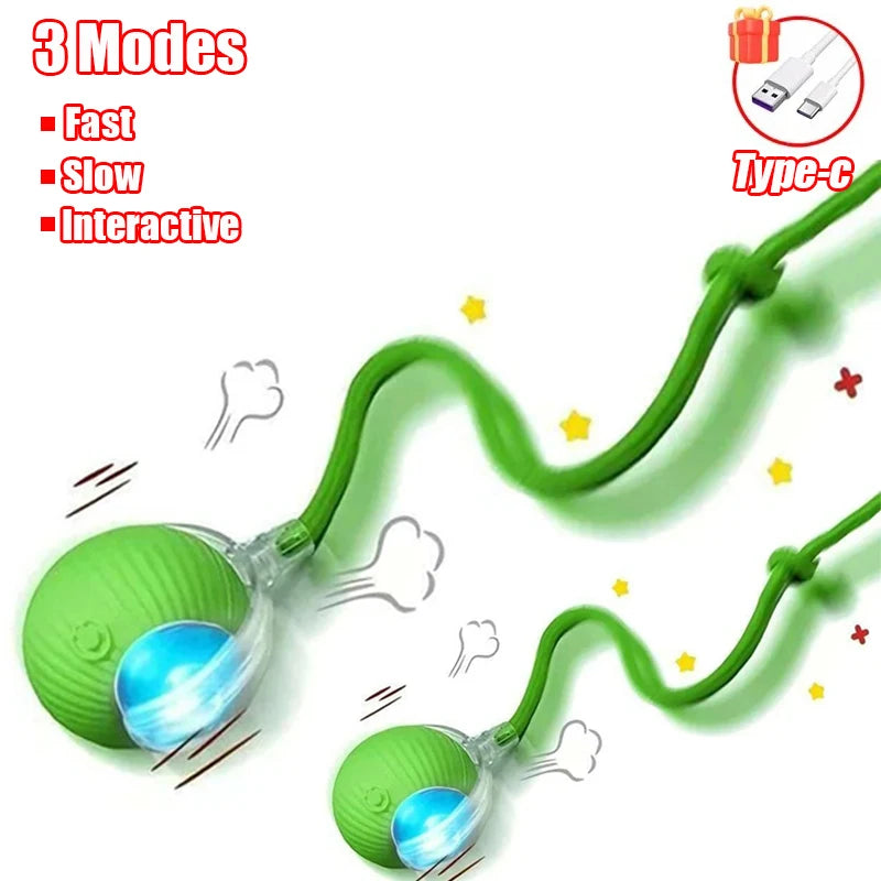 Rechargeable Automatic Rolling Ball with Faux Tail