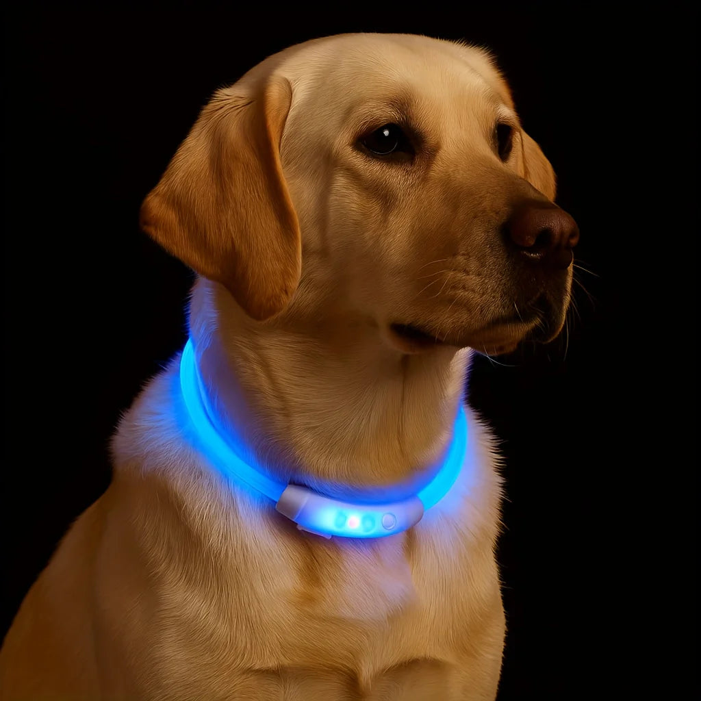 Reflective Glowing LED Dog Collar USB Rechargeable