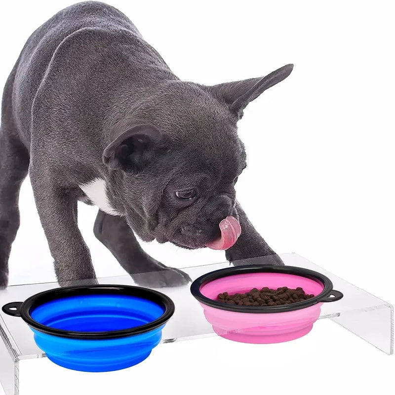 Folding Portable Silicone Dog Feeder Bowl with Carabiner