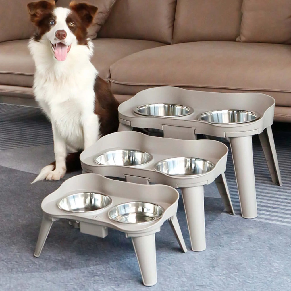 Elevated Dog Feeder