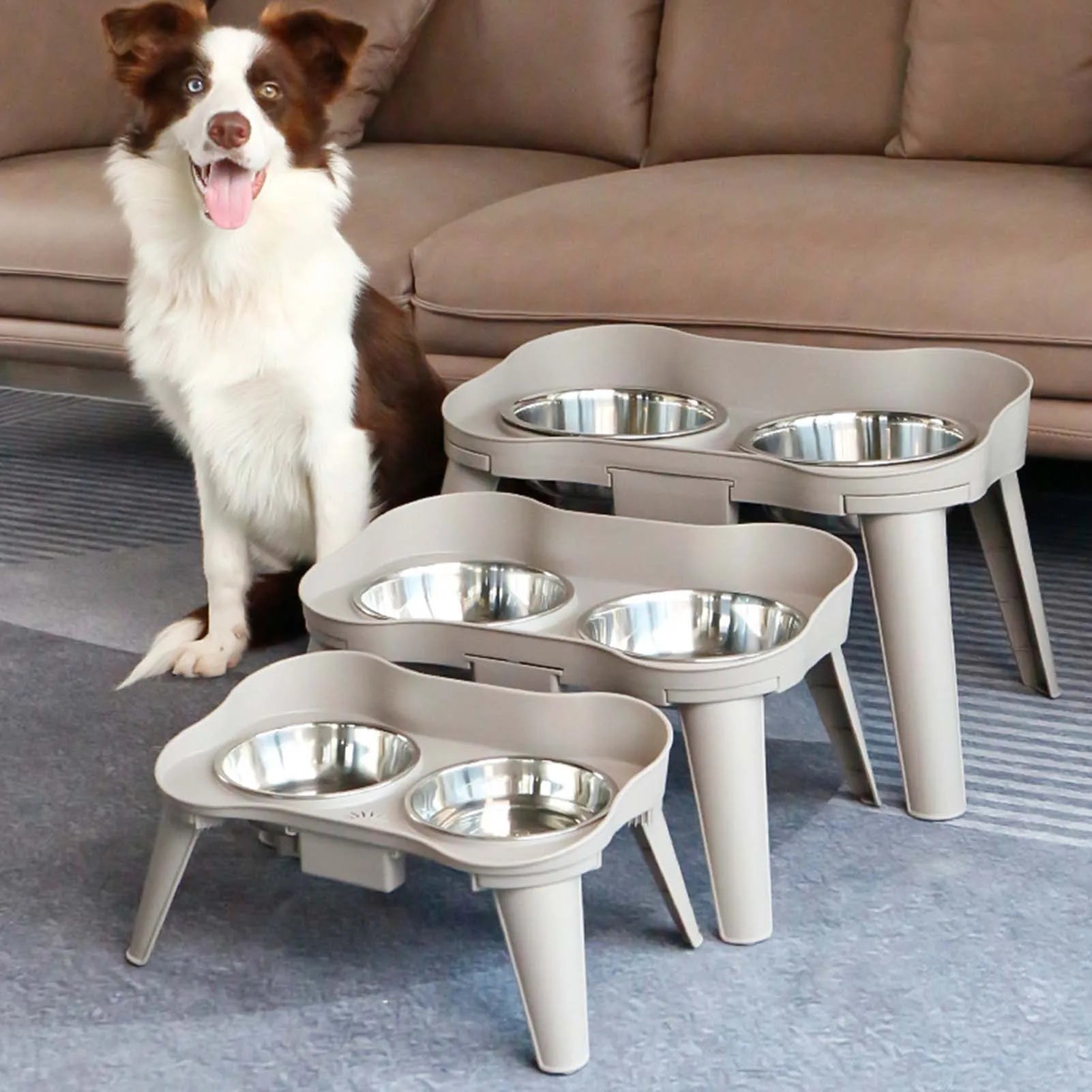 Elevated Dog Feeder