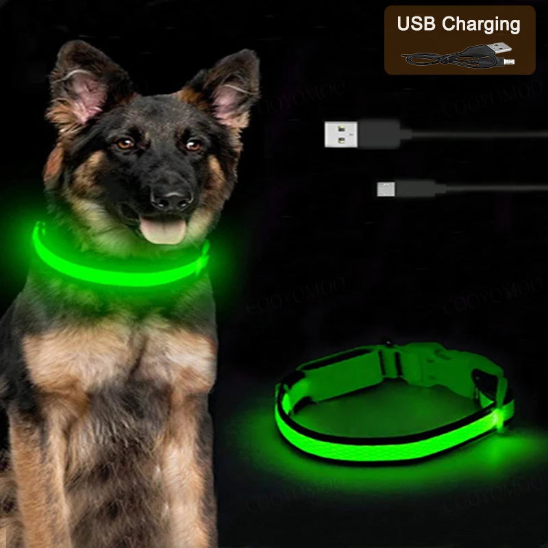 3 Mode LED Light Up Collar