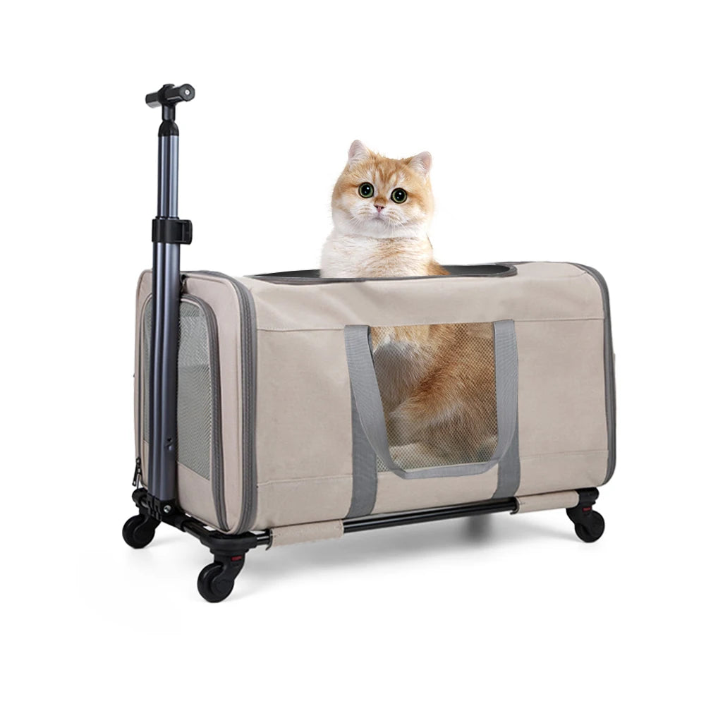 Cat trolley for 2 cats with safety belts