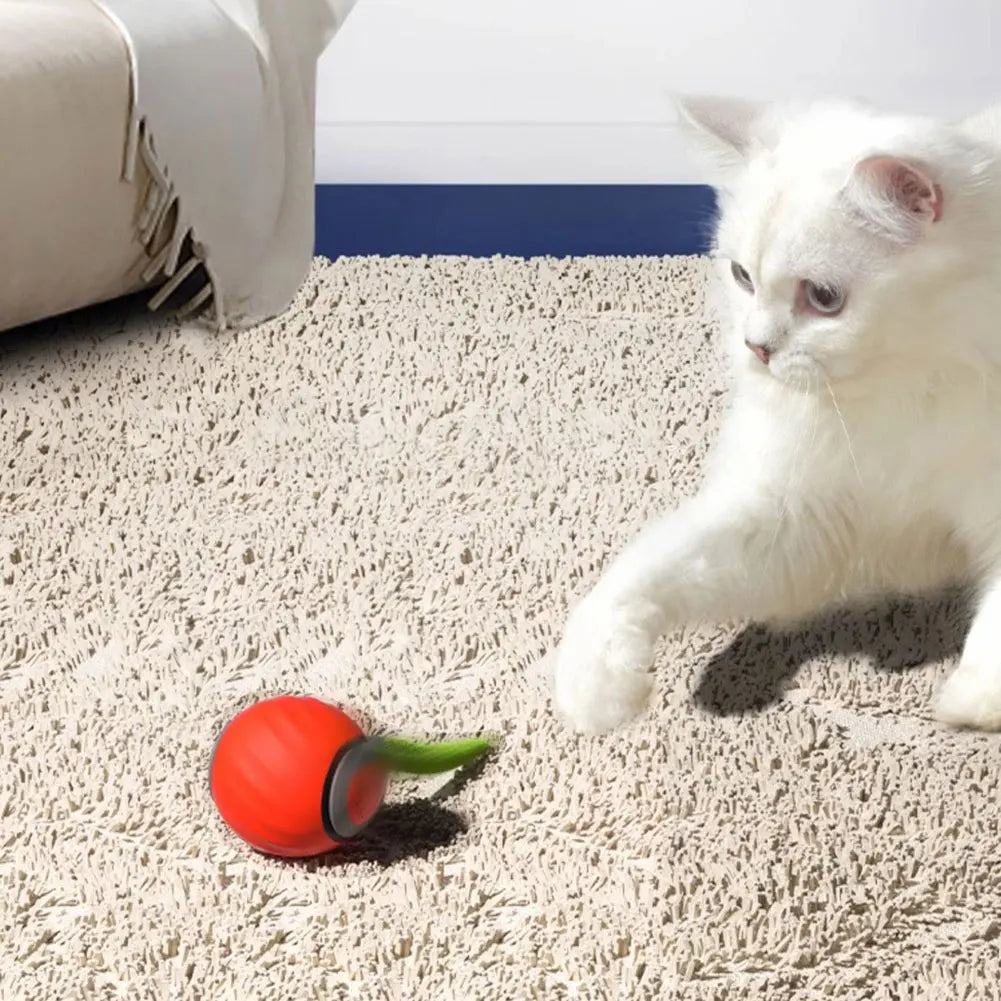 Interactive Cat Ball Smart Toy USB Rechargeable