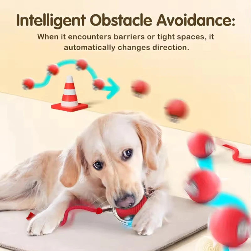 Smart Automatic Rolling Pet Ball for Dogs and Cats with Rope