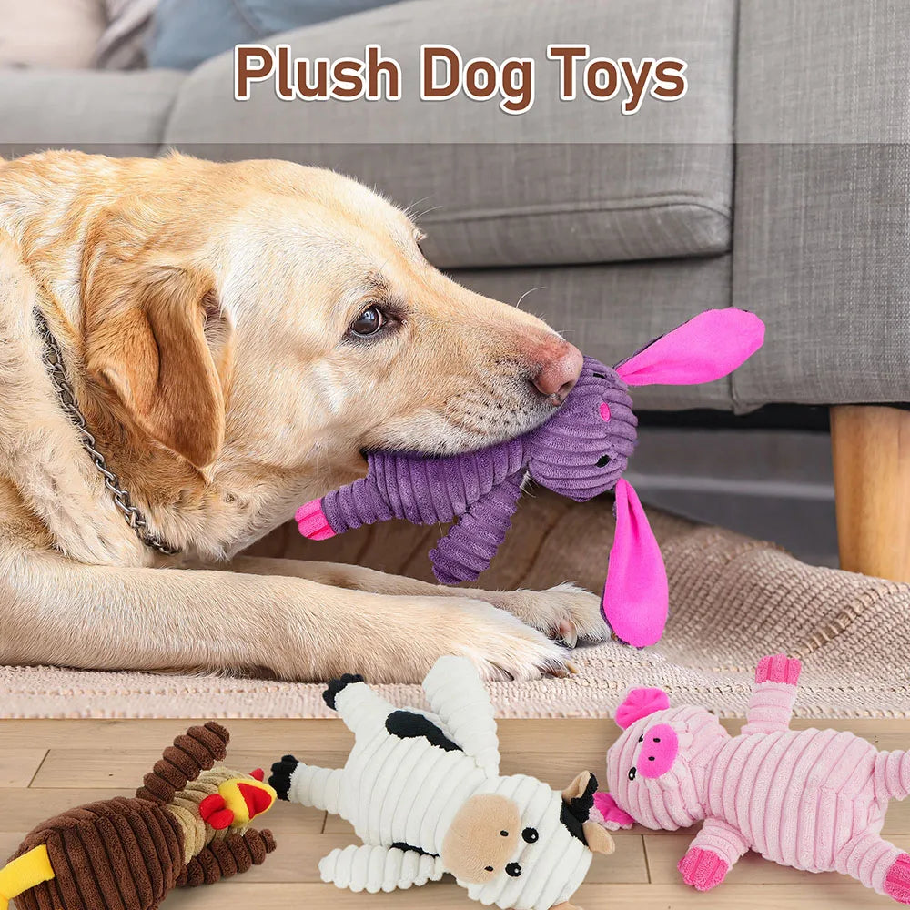 5 Pack Plush Dog Squeaky Toys