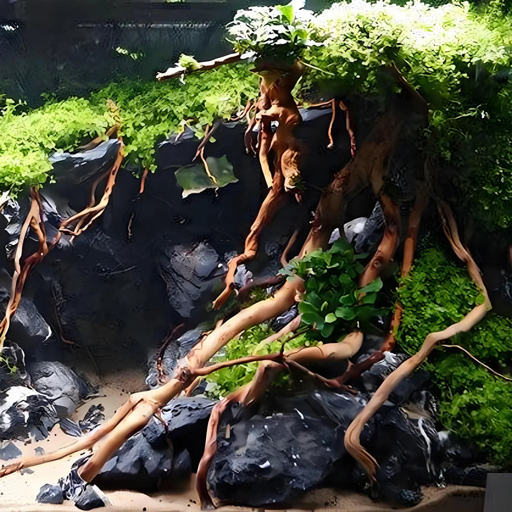 Aquarium Decor Micro Landscape Natural Driftwood Root