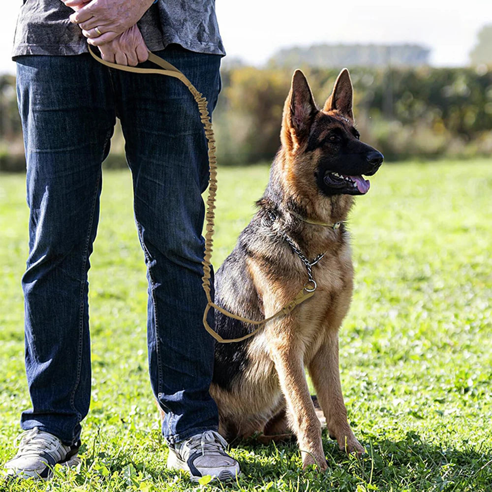 Military Adjustable Leash Quick Release Elastic Rope With 2 Control Handle