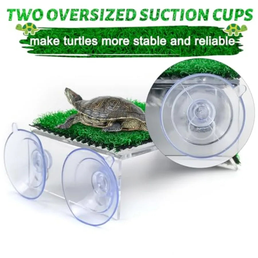 Small Turtle Basking Platform
