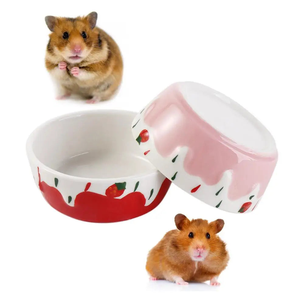 Small animal water and food dish