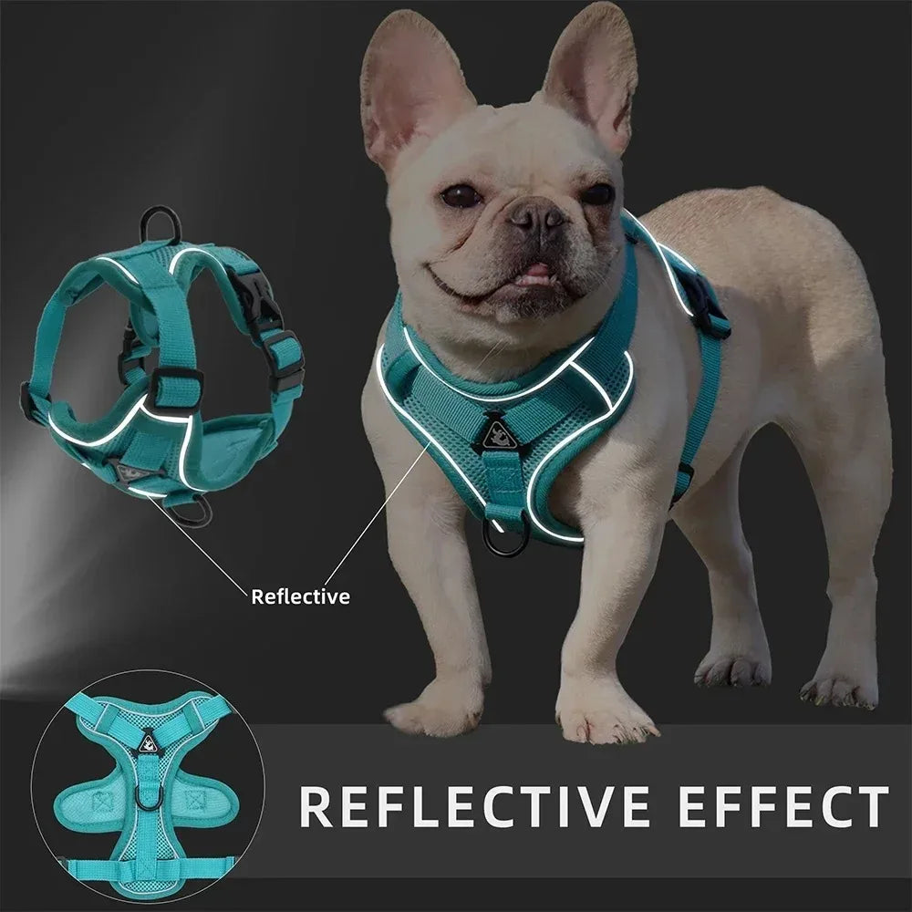 No Pull Reflective Dog Harness and Leash Set for Small Dogs and Cats