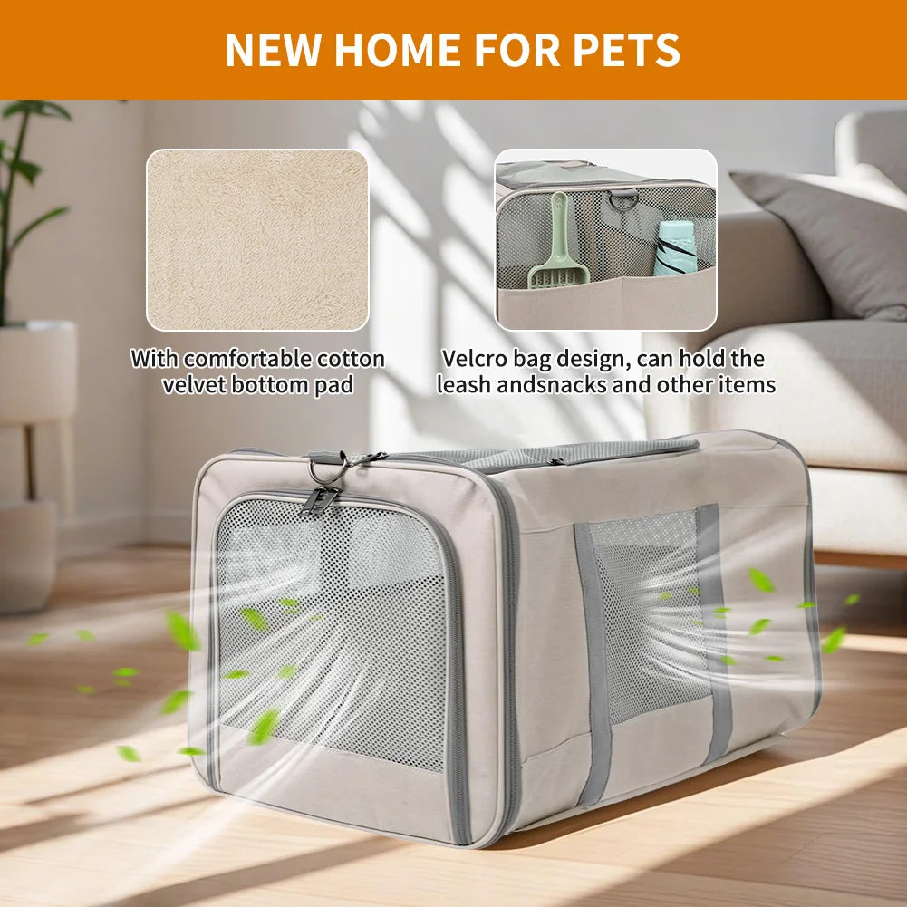 Cat trolley for 2 cats with safety belts