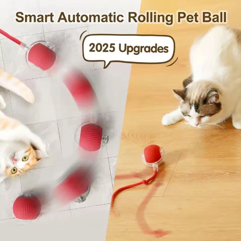 Smart Automatic Rolling Pet Ball for Dogs and Cats with Rope