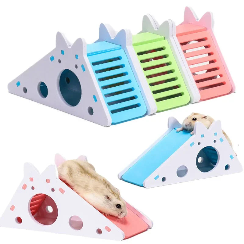 Assembled Small Animal Slide