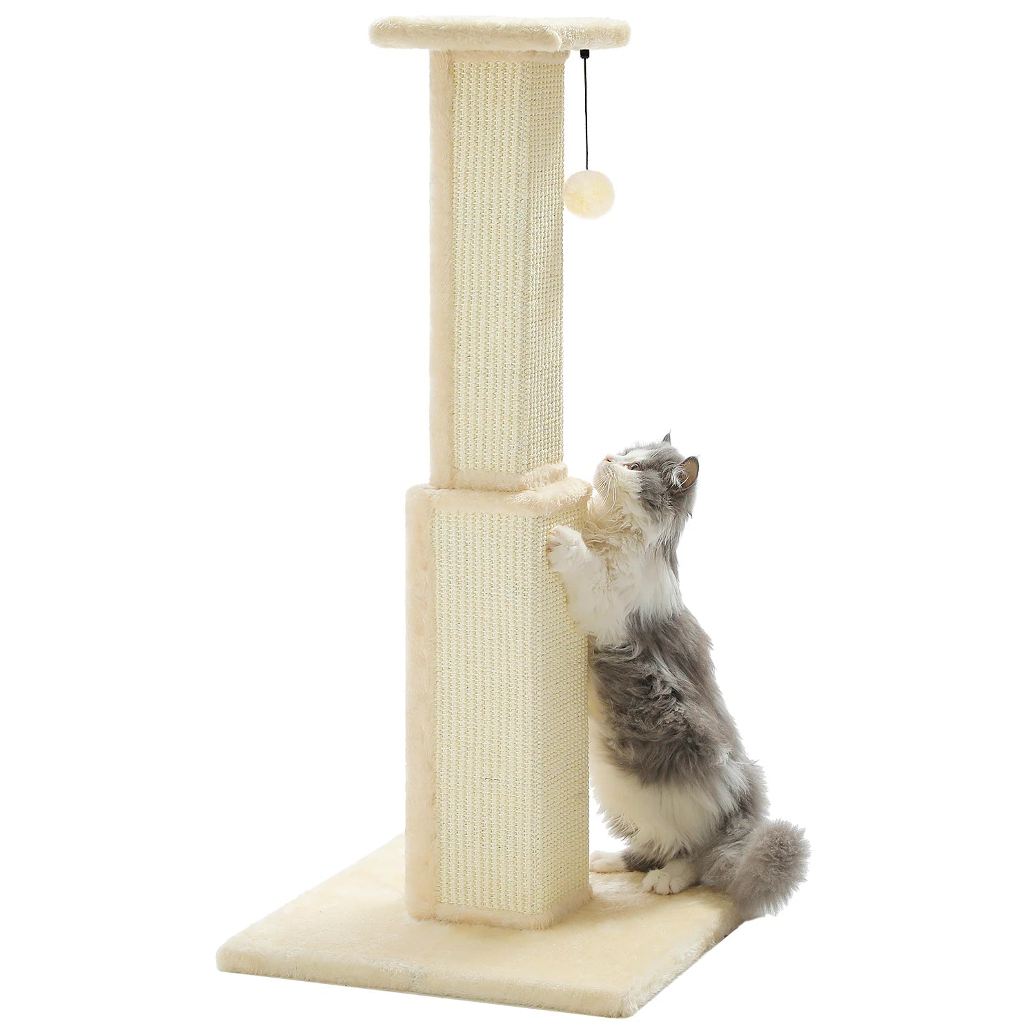 Large Cat Scratching Post for Indoor Cats