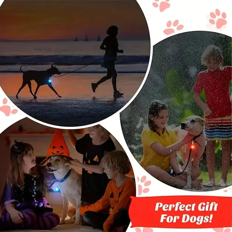 Clip On LED Pet Collar for Nighttime